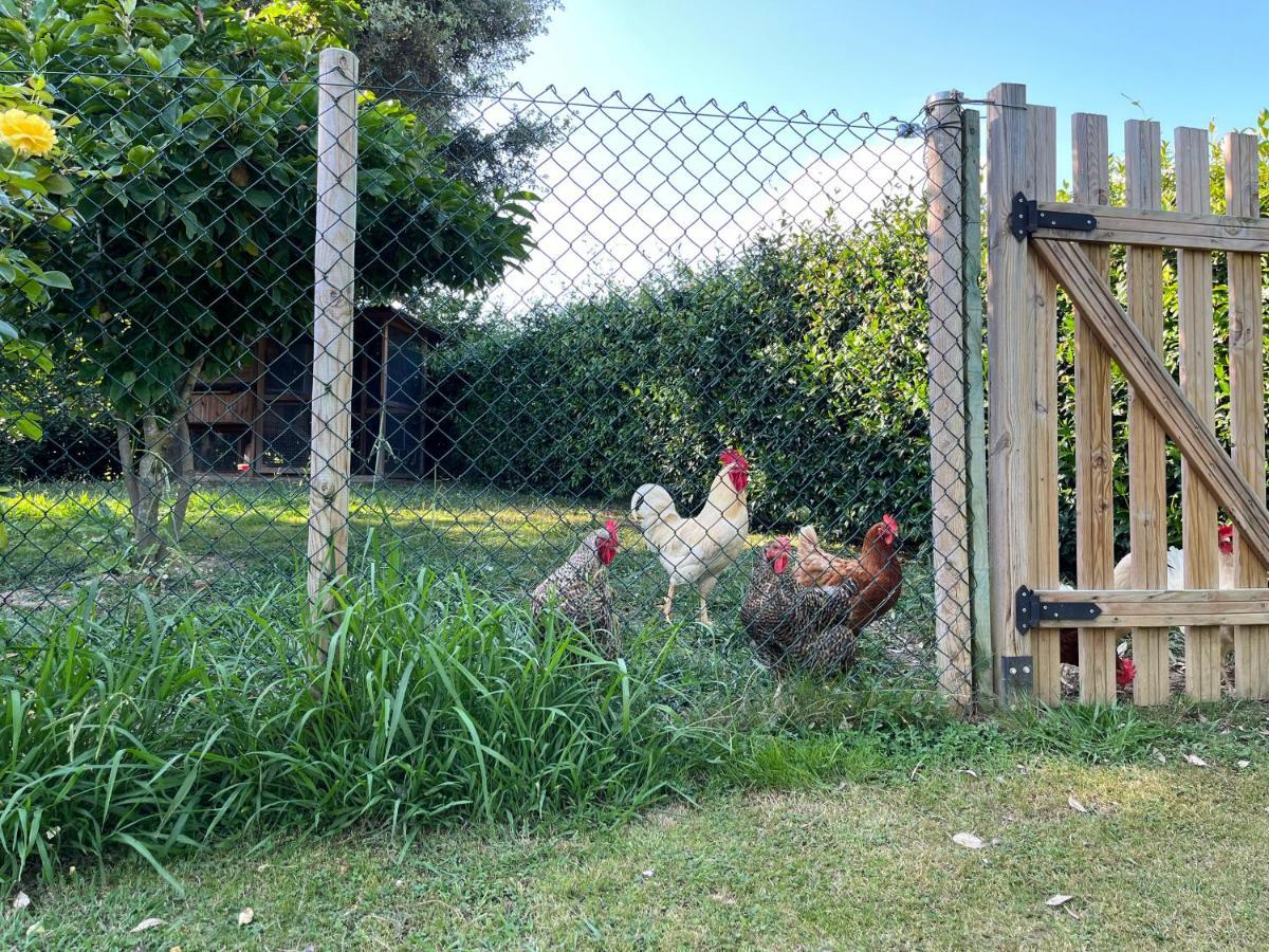 Iturriotz Berezia Séjour chez l'habitant